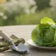 Gartenhandschuhe und gewaschener Salat auf dem Gartentisch, Toxoplasmose Schwangerschaft